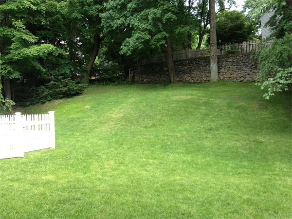 84 Seaver Street Wellesley, MA 02481 - Photo 11 of 13 a view of a back yard