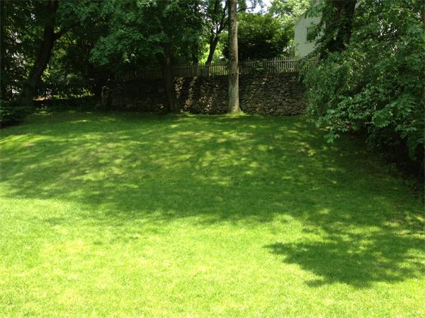 84 Seaver Street Wellesley, MA 02481 - Photo 12 of 13 a view of a yard with a trees