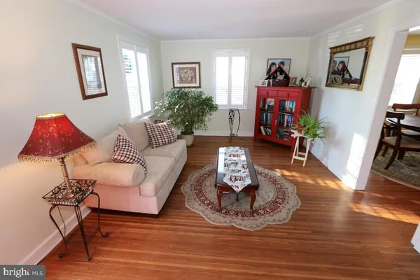 a living room with furniture a potted plant and a table