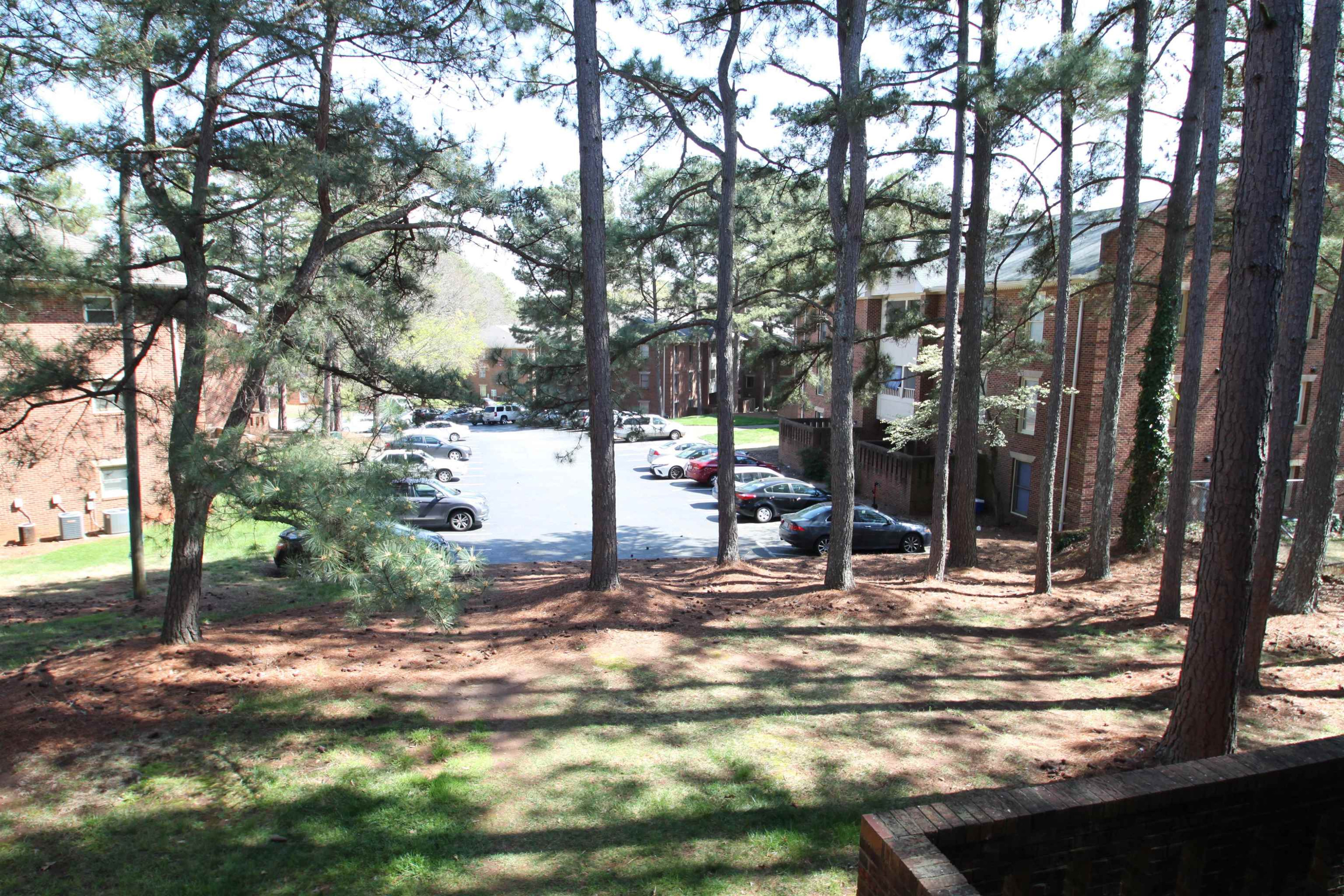 3537 Ivy Commons Drive, Unit 202 Raleigh, NC 27606 - Photo 6 of 51 Don't forget to take in some sunshine and fresh air provided by healthy and established trees. Lots of trees