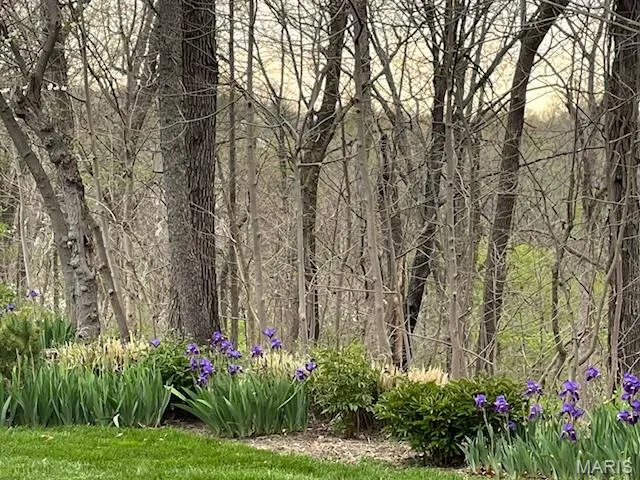 $1,060,000 | 17718 Chaistain Court, Chesterfield, MO 63005