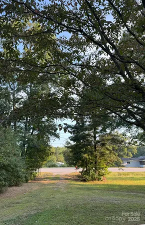 a view of electric trees