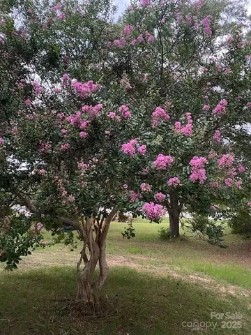 a view of outdoor space with deck and green space