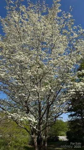 a wooden bench sitting in front of a building