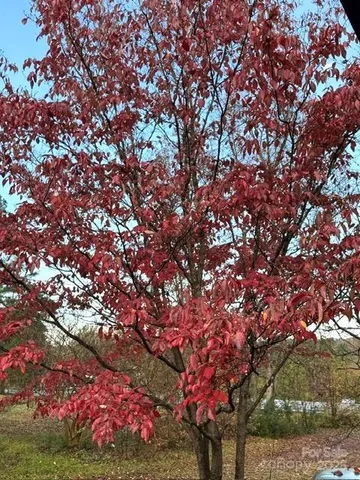 a view of a lot of a small space