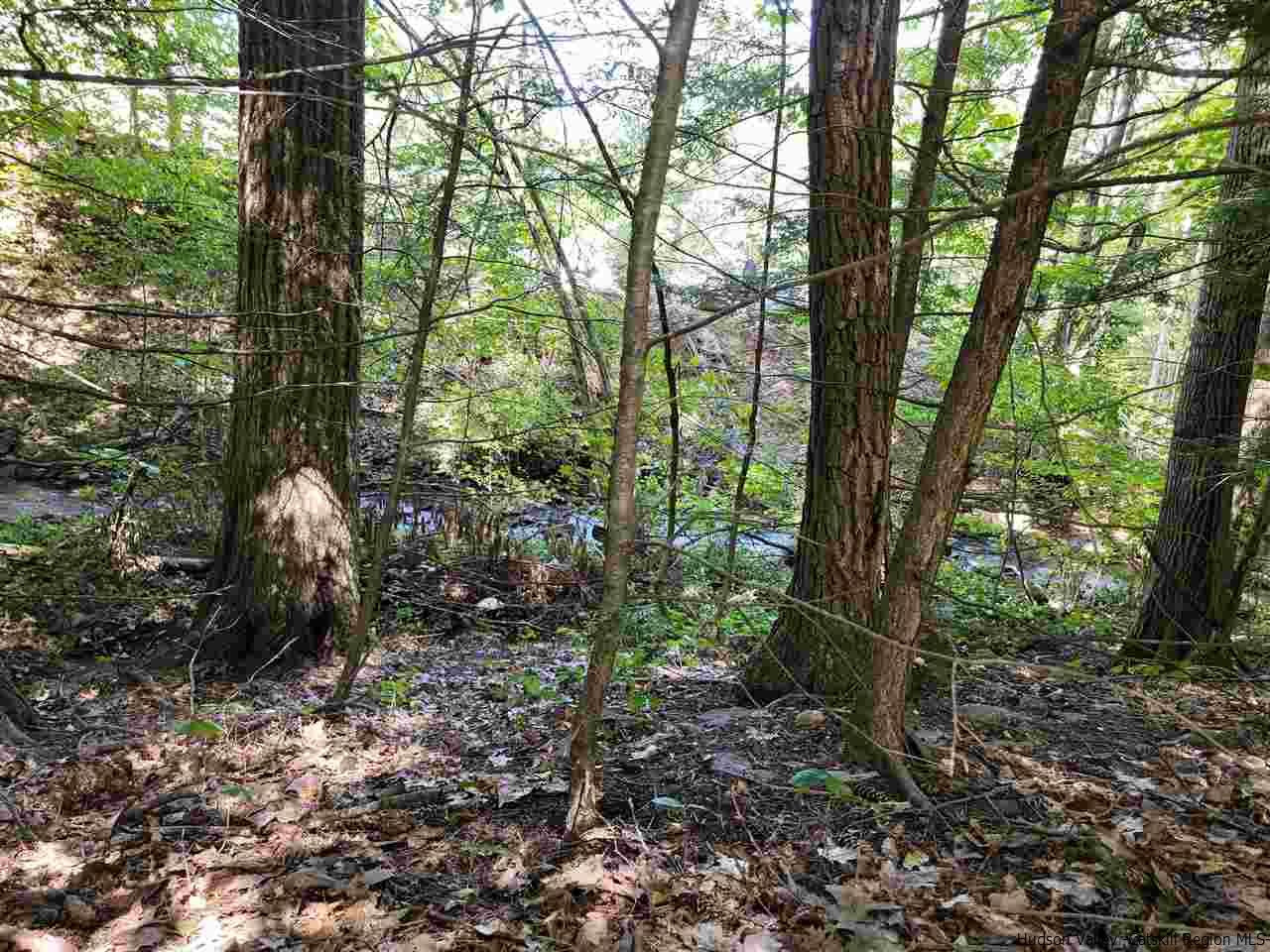 634 Vernal Butler Road Cairo, NY 12413 - Photo 15 of 22 a backyard of a house with lots of green space