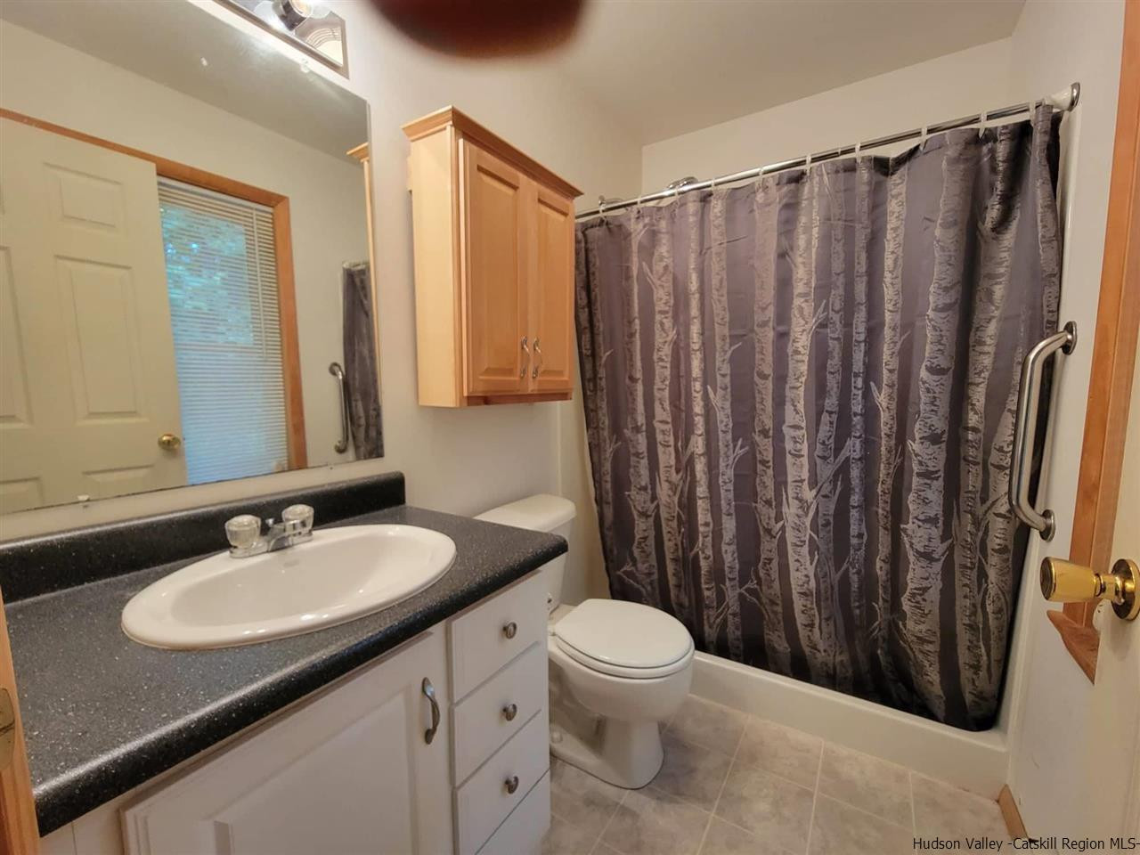 634 Vernal Butler Road Cairo, NY 12413 - Photo 18 of 22 a bathroom with a sink a toilet a mirror and shower curtain