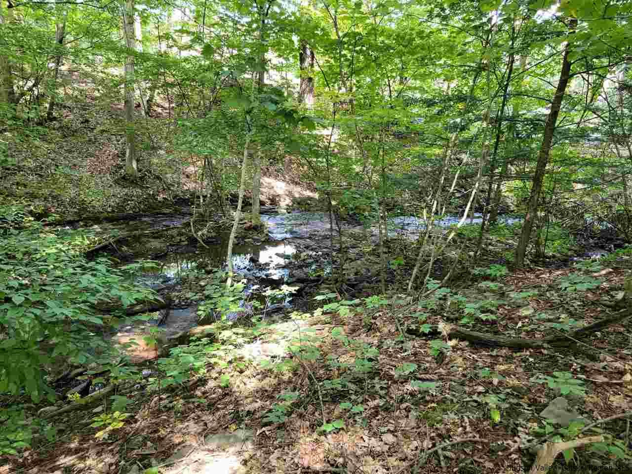 634 Vernal Butler Road Cairo, NY 12413 - Photo 20 of 22 a view of a forest with a tree