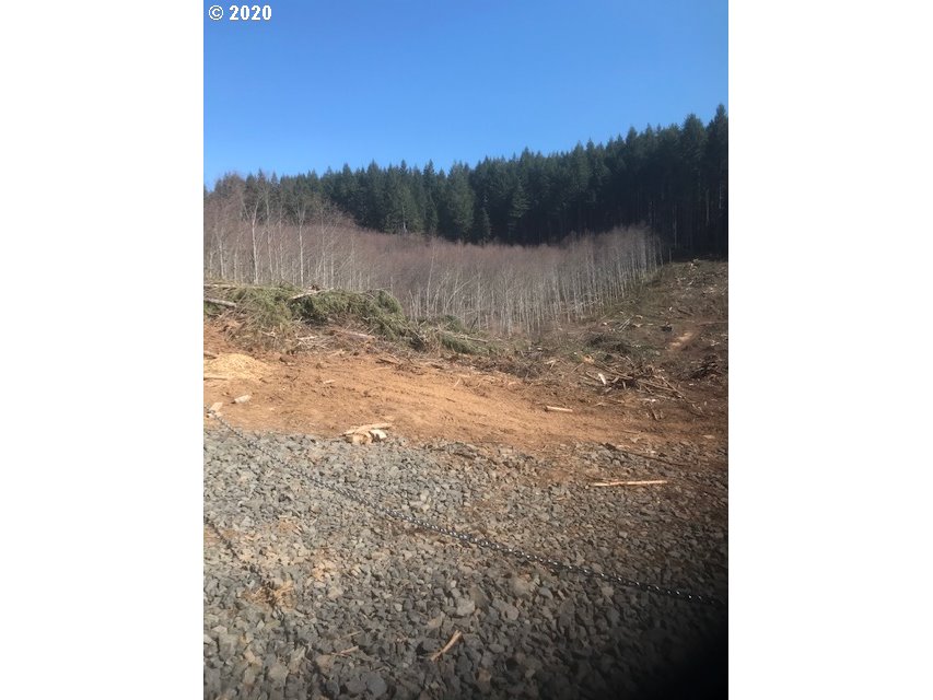 Northwest Smoke Ranch Road, Unit 10 Scappoose, OR 97056 - Photo 1 of 13 Gallery Image 1