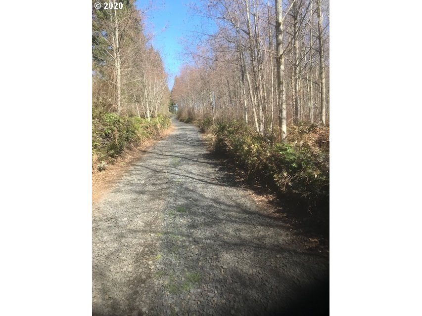 Northwest Smoke Ranch Road, Unit 10 Scappoose, OR 97056 - Photo 2 of 13 Gallery Image 2
