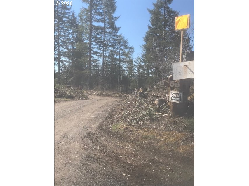 Northwest Smoke Ranch Road, Unit 10 Scappoose, OR 97056 - Photo 12 of 13 Gallery Image 12