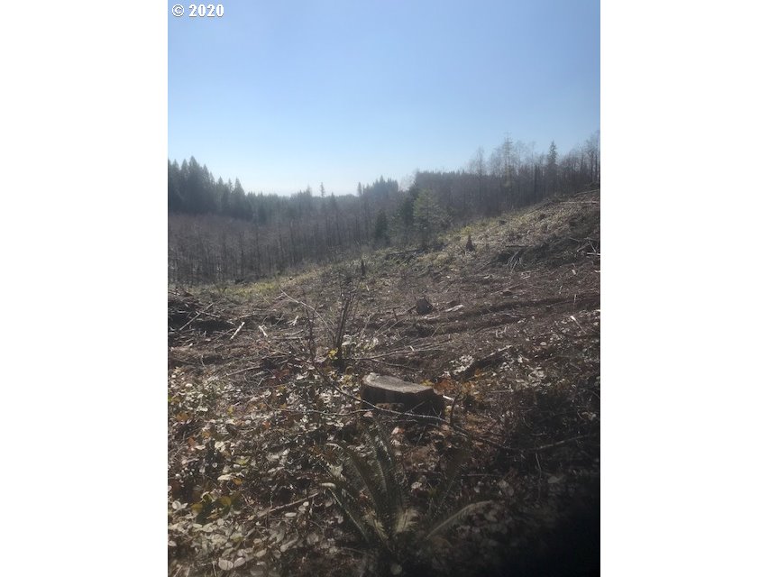 Northwest Smoke Ranch Road, Unit 10 Scappoose, OR 97056 - Photo 3 of 13 Gallery Image 3