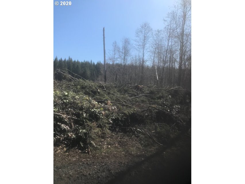 Northwest Smoke Ranch Road, Unit 10 Scappoose, OR 97056 - Photo 4 of 13 Gallery Image 4