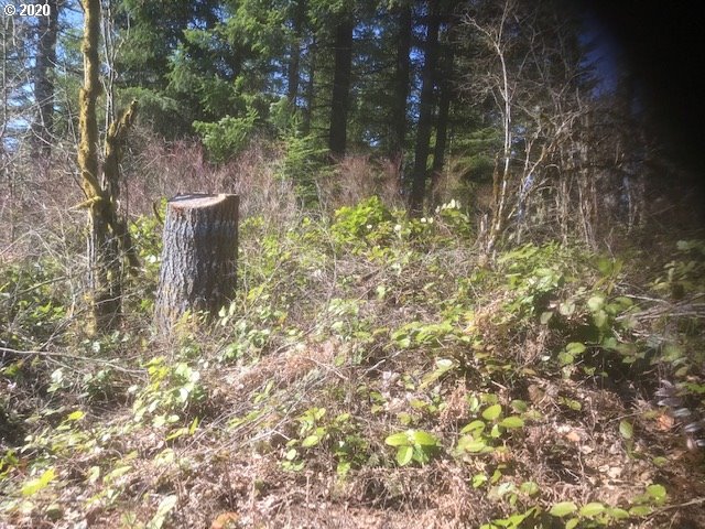 Northwest Smoke Ranch Road, Unit 10 Scappoose, OR 97056 - Photo 5 of 13 Gallery Image 5