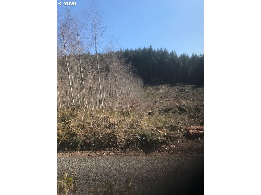 Northwest Smoke Ranch Road, Unit 10 Scappoose, OR 97056 - Photo 7 of 13 Gallery Image 7