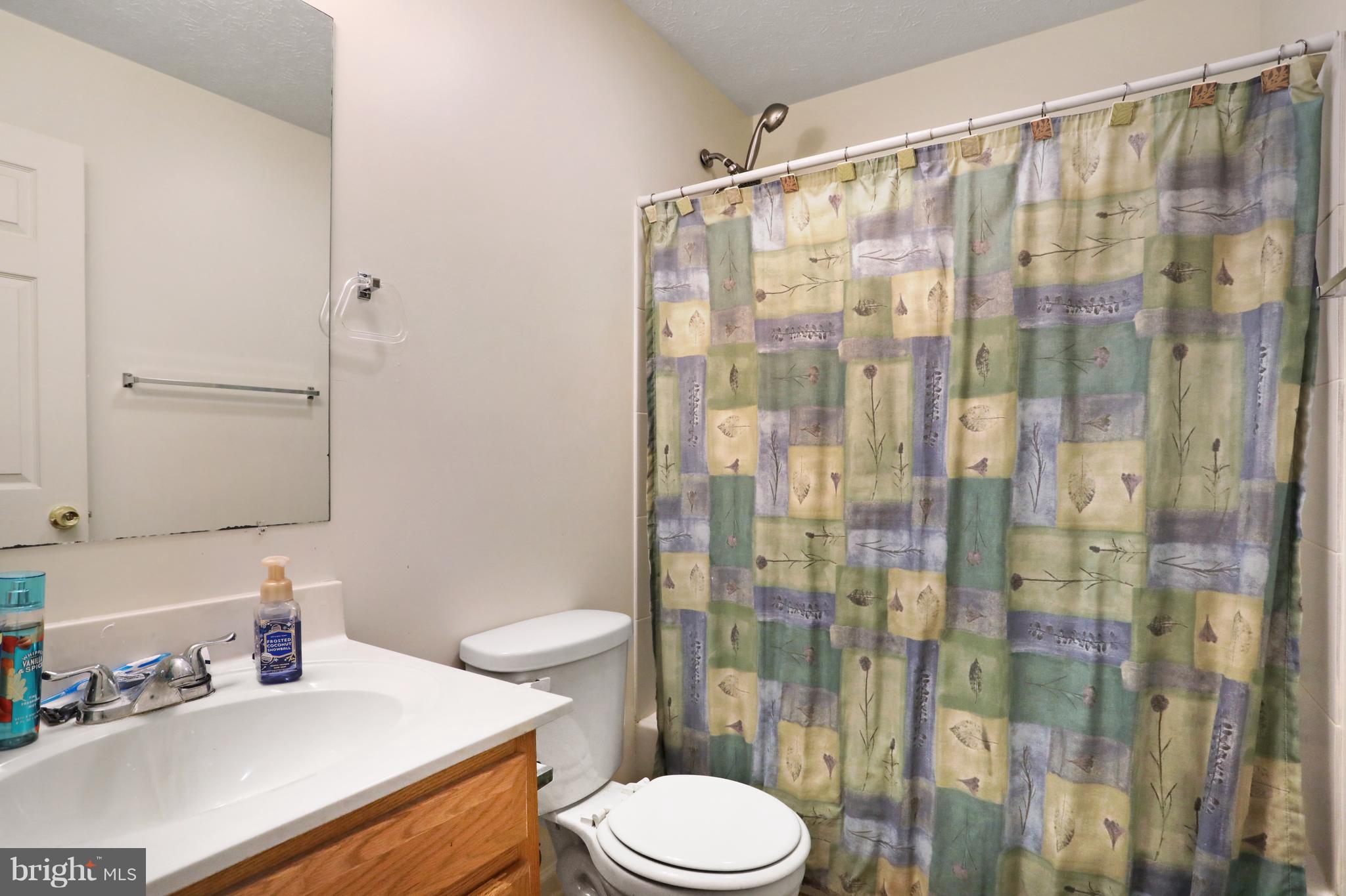 140 Raft Court Inwood, WV 25428 - Photo 20 of 34 a bathroom with a shower curtain a sink a toilet and a sink