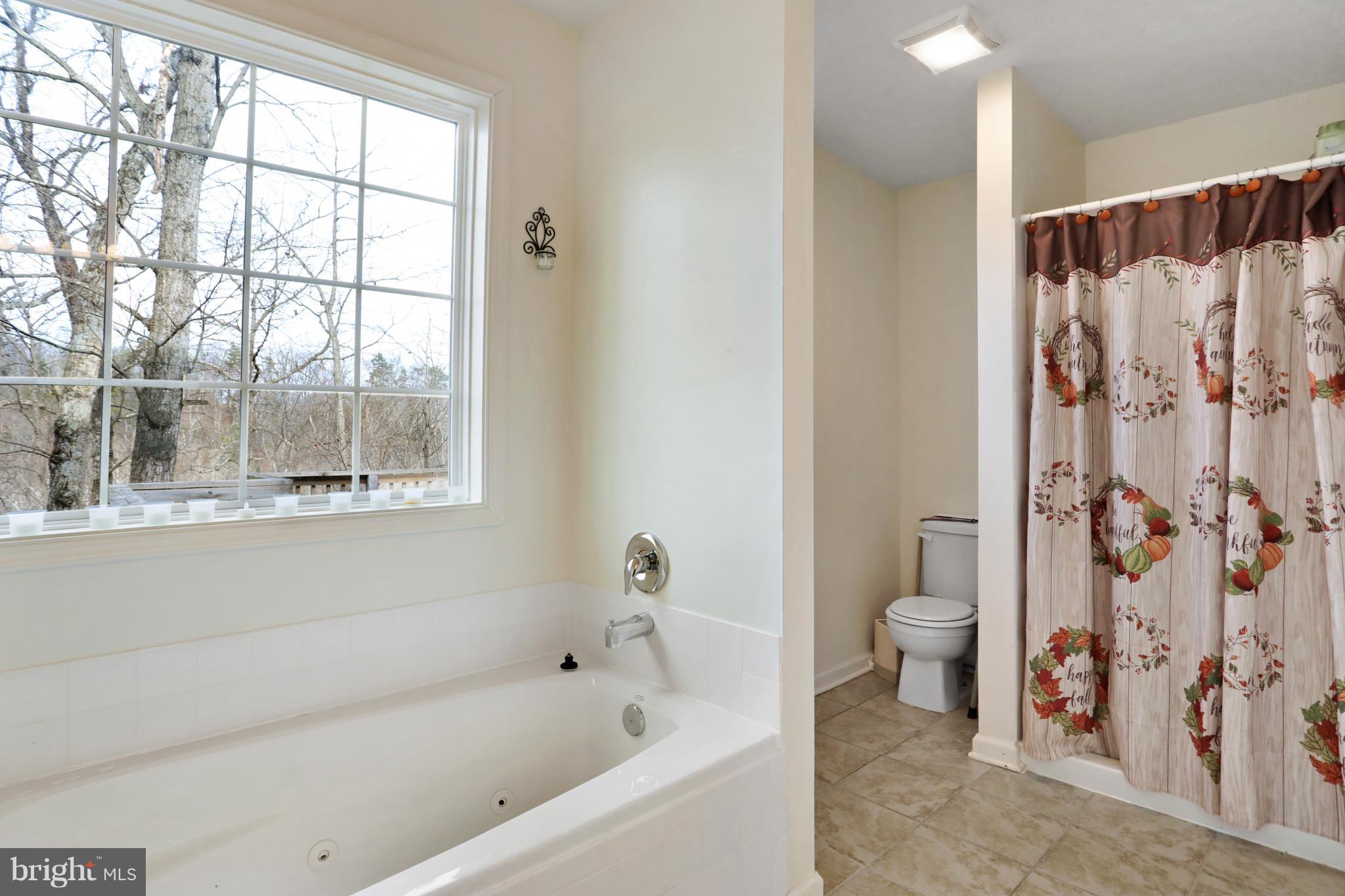 140 Raft Court Inwood, WV 25428 - Photo 22 of 34 a bathroom with a bathtub and a toilet