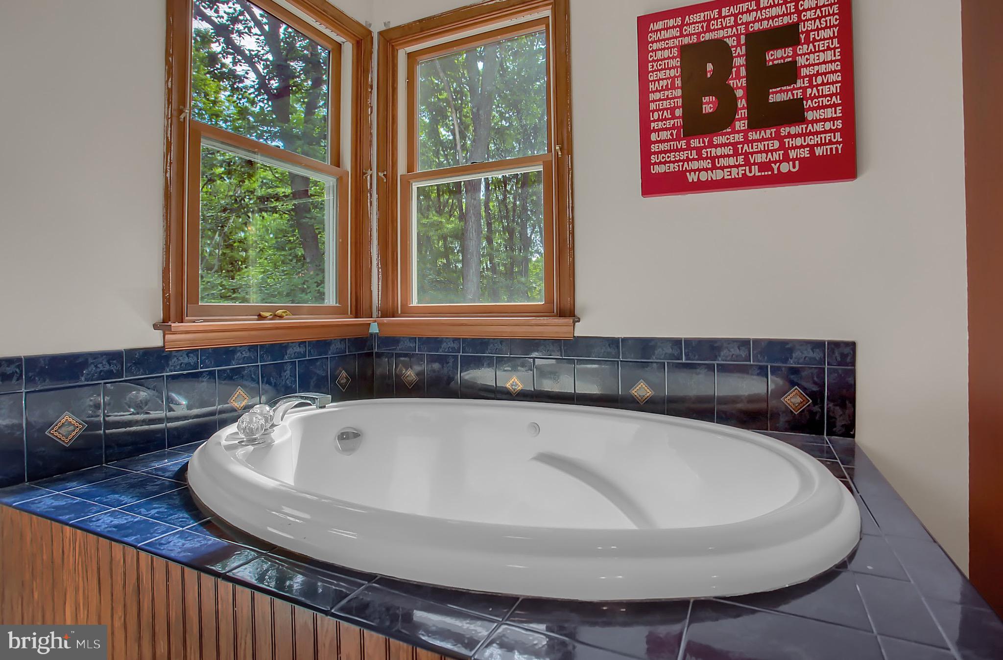 136 Chain Saw Road Dillsburg, PA 17019 - Photo 17 of 54 Large Bathroom with Whirlpool Tub and Shower