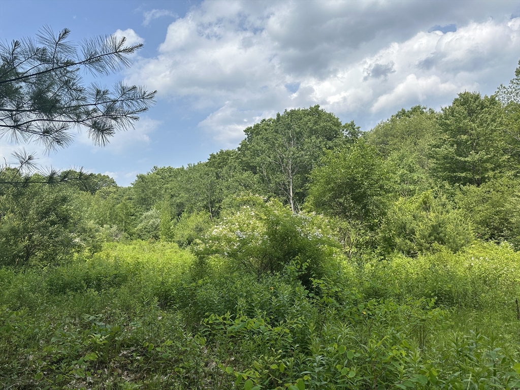 0 North Sullivan Road Charlton, MA 01507 - Photo 4 of 6