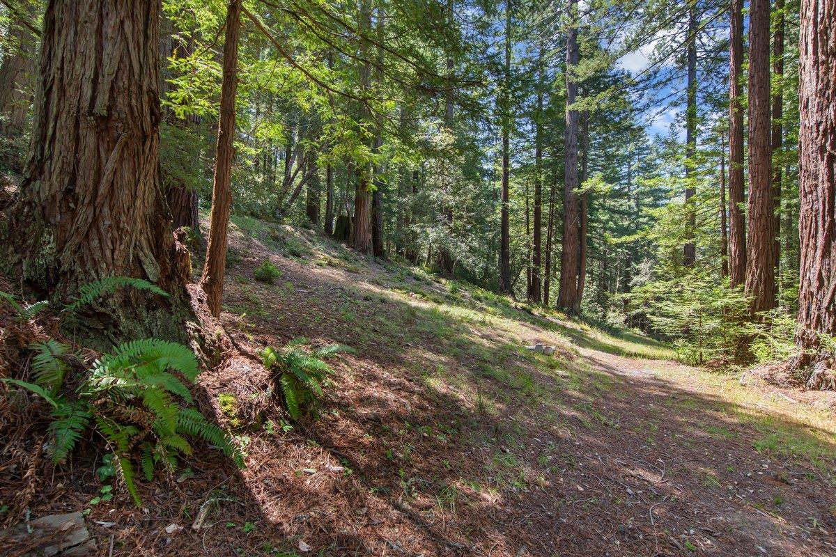 0 Native Sons Road Redwood City, CA 94062 - Photo 9 of 28