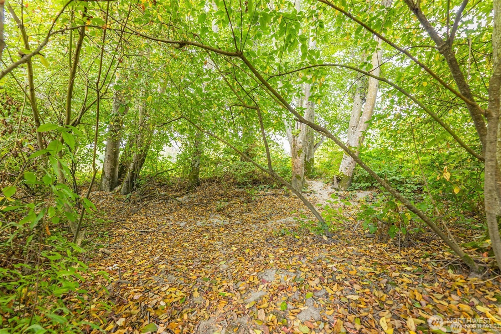 0 Milltown Crossing Road Mount Vernon, WA 98273 - Photo 11 of 14 a view of outdoor space and yard