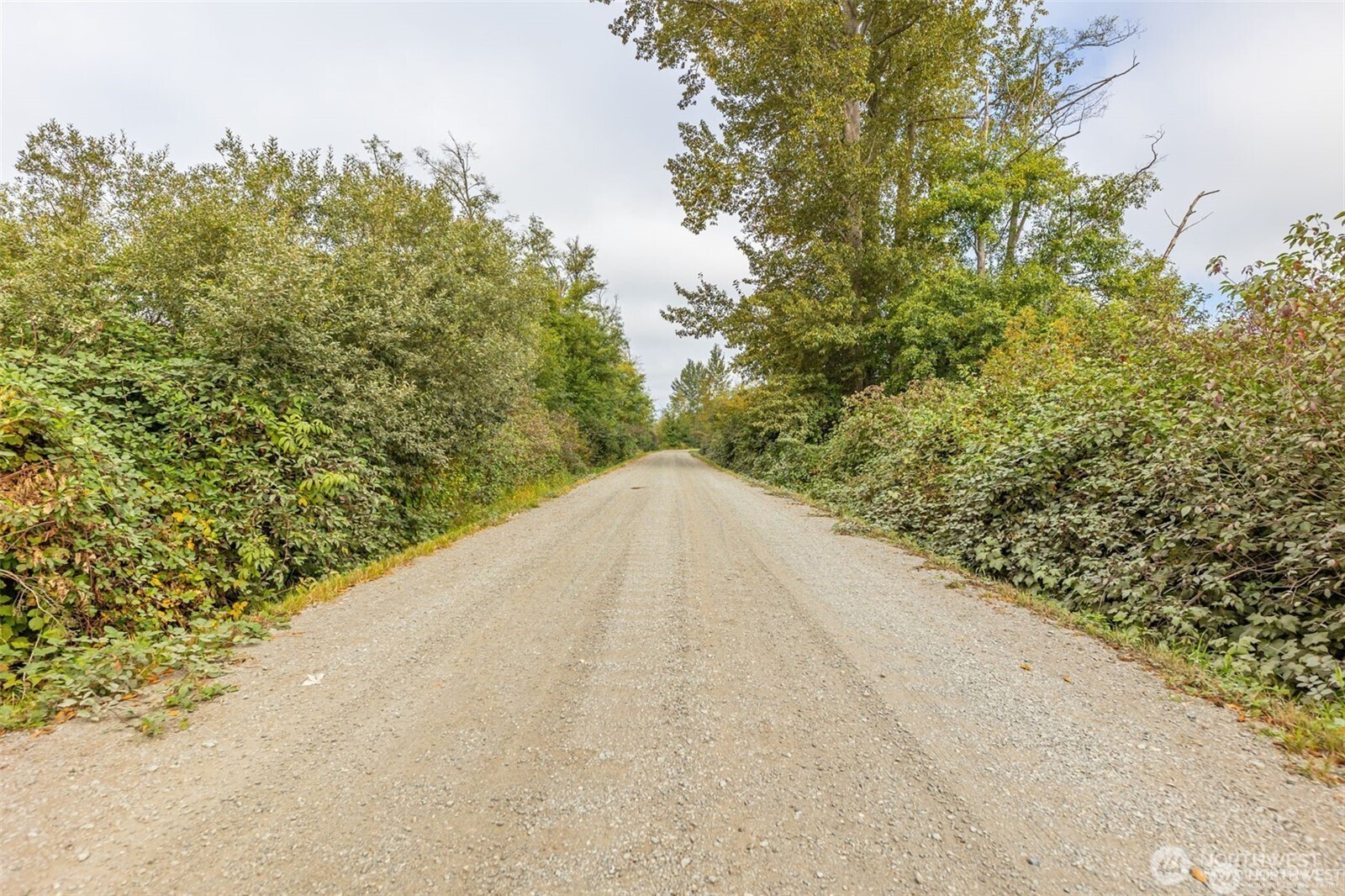 0 Milltown Crossing Road Mount Vernon, WA 98273 - Photo 12 of 14 a view of a yard with a tree