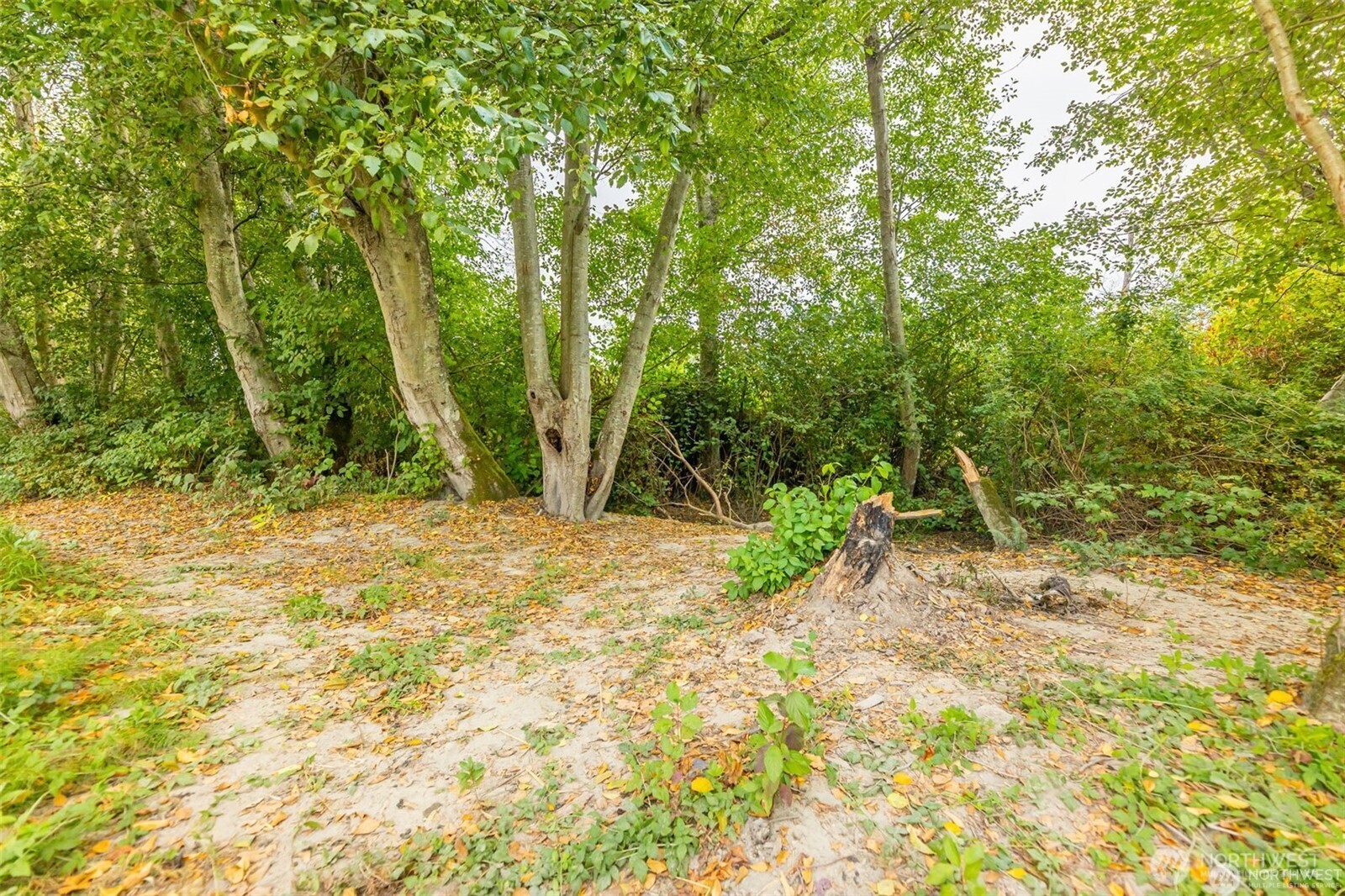 0 Milltown Crossing Road Mount Vernon, WA 98273 - Photo 13 of 14 a backyard of a house with table and chairs