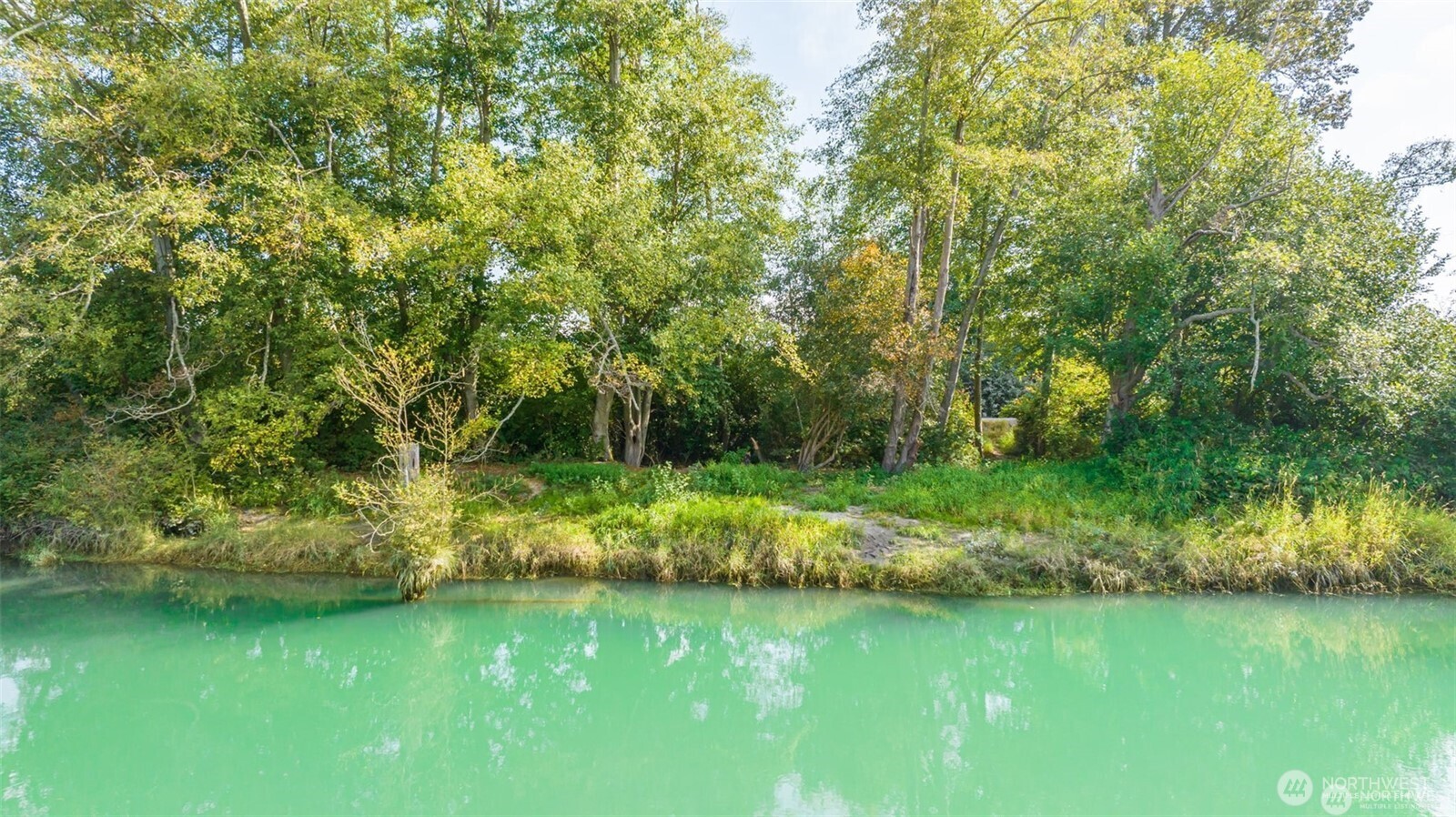 0 Milltown Crossing Road Mount Vernon, WA 98273 - Photo 6 of 14 a view of yard with green space