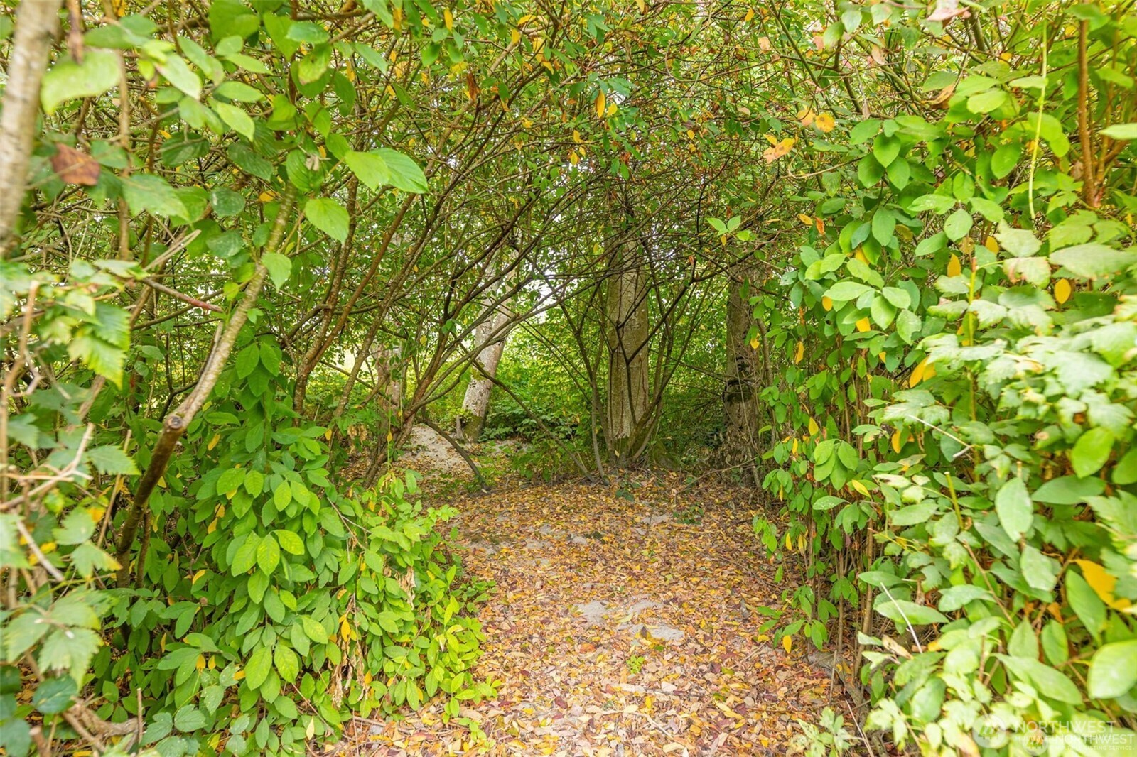 0 Milltown Crossing Road Mount Vernon, WA 98273 - Photo 10 of 14 a backyard of a house with lots of plants