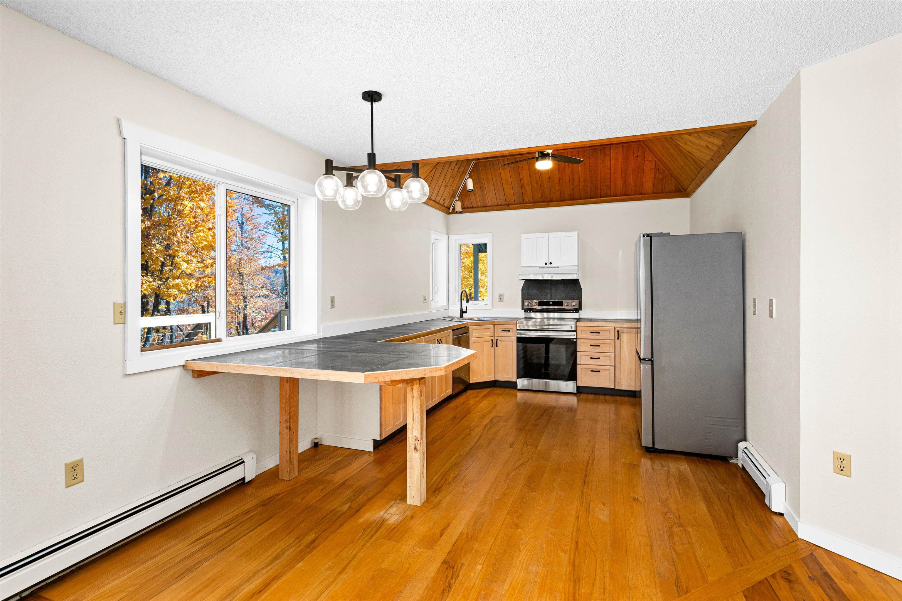 6644 Roses Road Finland, MN 55603 - Photo 8 of 44 Kitchen with decorative light fixtures, a baseboard radiator, stainless steel appliances, and kitchen peninsula