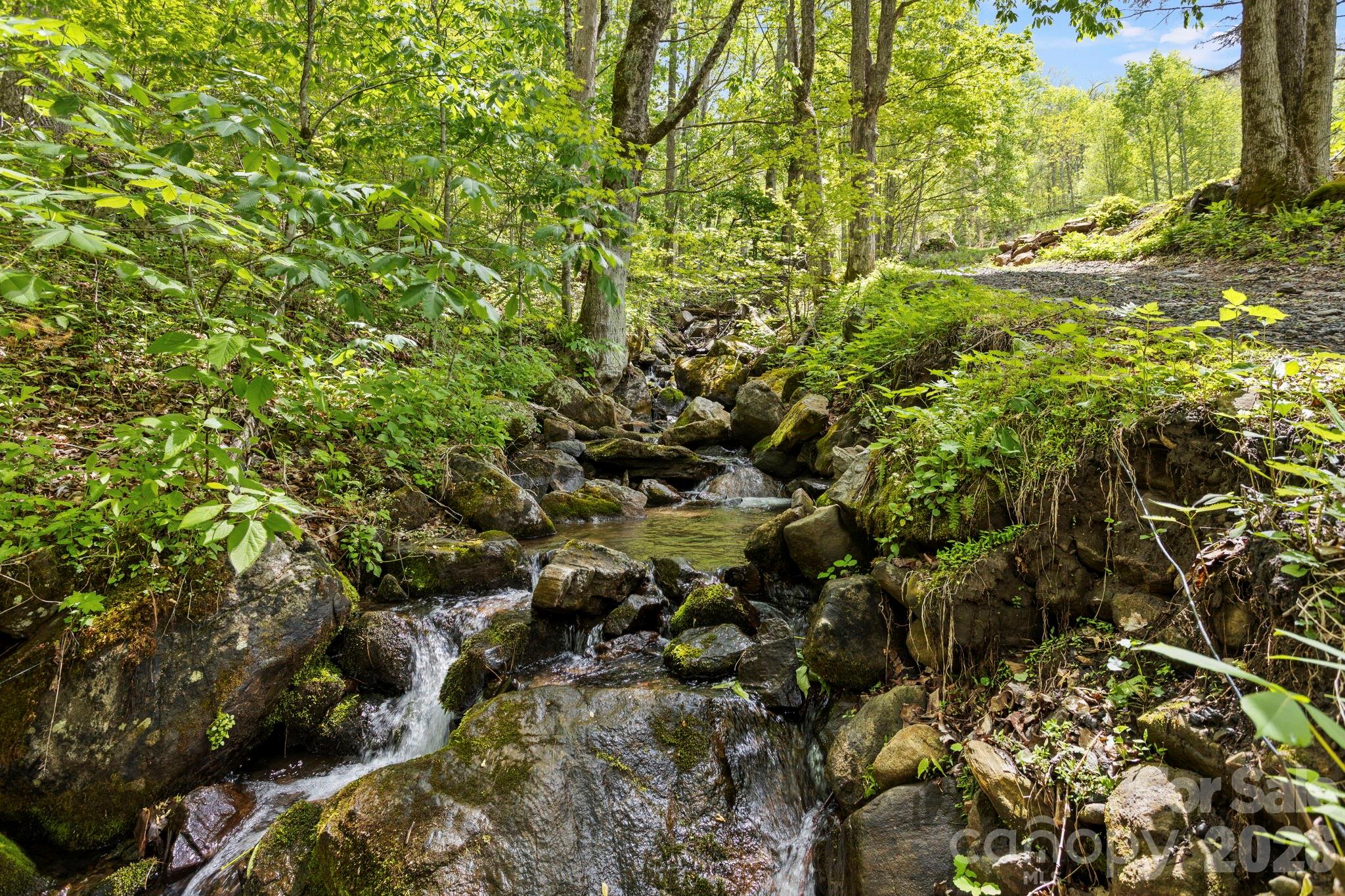 1108 Pine Root Branch Road Bakersville, NC 28705 - Photo 43 of 47