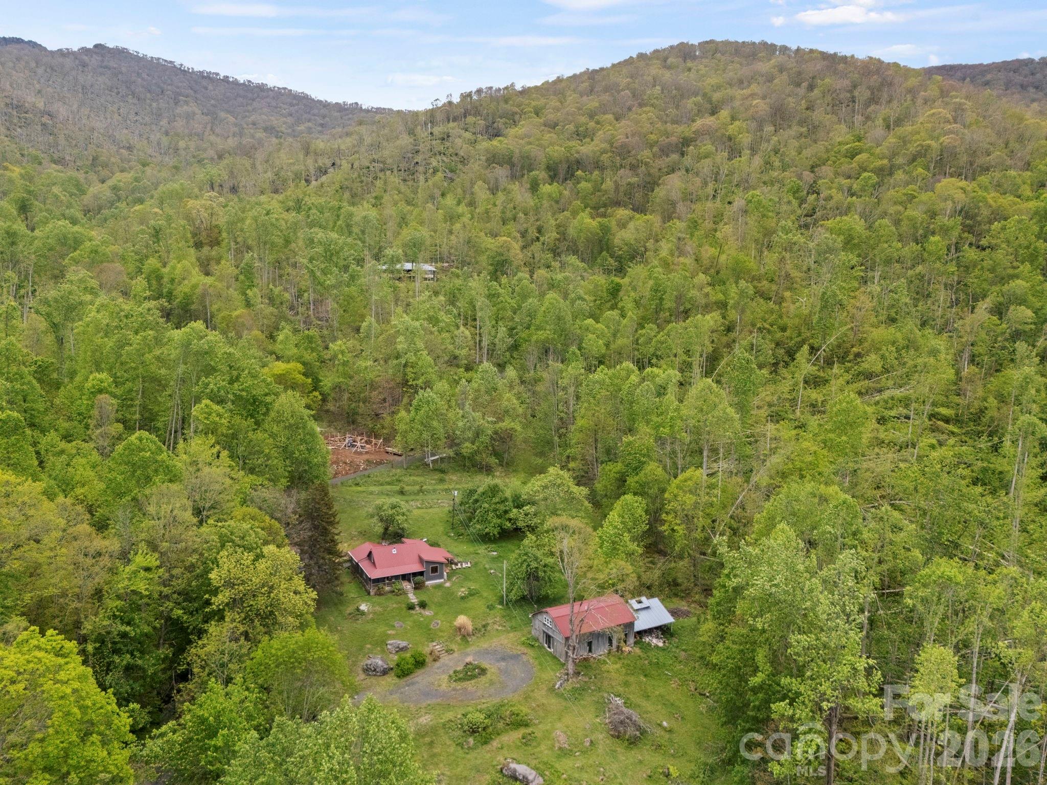 1108 Pine Root Branch Road Bakersville, NC 28705 - Photo 45 of 47