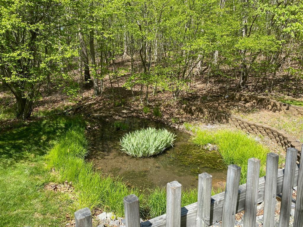 3035 Eggleston Falls Road Ridgeway, VA 24148 - Photo 4 of 56 3