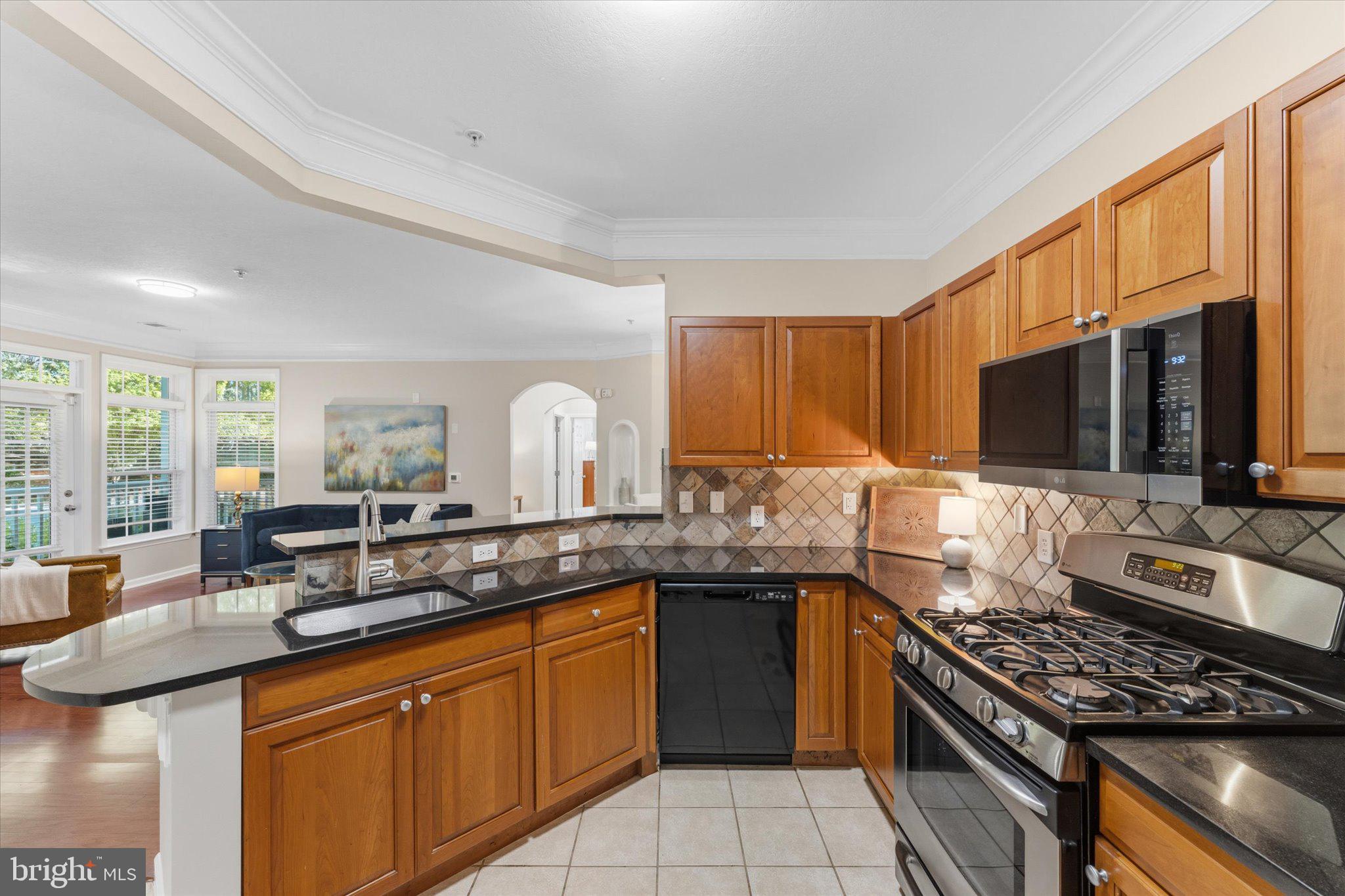 503 Sunset View Terrace Southeast, Unit 101 Leesburg, VA 20175 - Photo 7 of 39 Modern kitchen with elegant finishes.