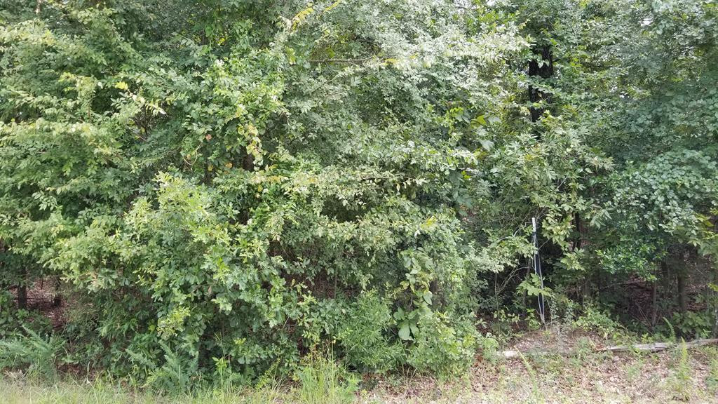 Lot 8 Anderson Pond Road Aiken, SC 29803 - Photo 2 of 2