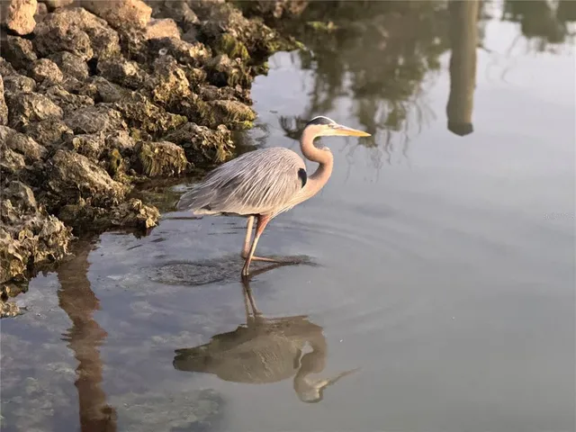 $599,000 | 109 Bayshore Road, Unit 10, Nokomis, FL 34275