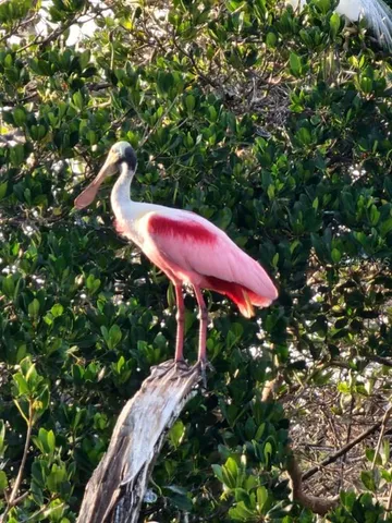 $599,000 | 109 Bayshore Road, Unit 10, Nokomis, FL 34275