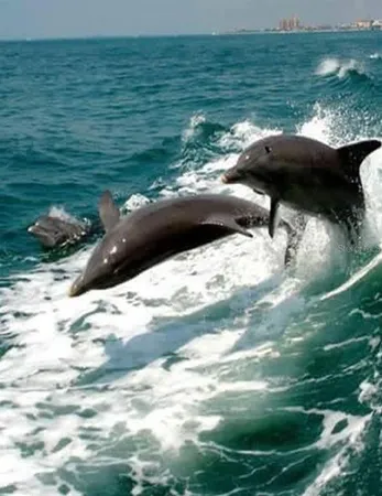 $599,000 | 109 Bayshore Road, Unit 10, Nokomis, FL 34275