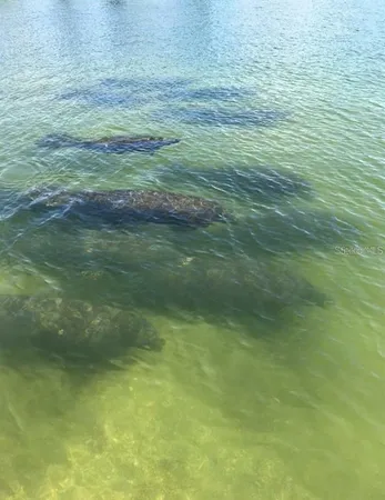 $599,000 | 109 Bayshore Road, Unit 10, Nokomis, FL 34275