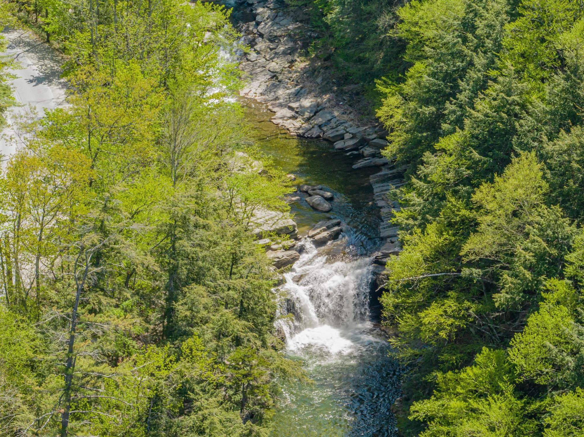 207 Deerleap View Bristol, VT 05443 - Photo 2 of 4