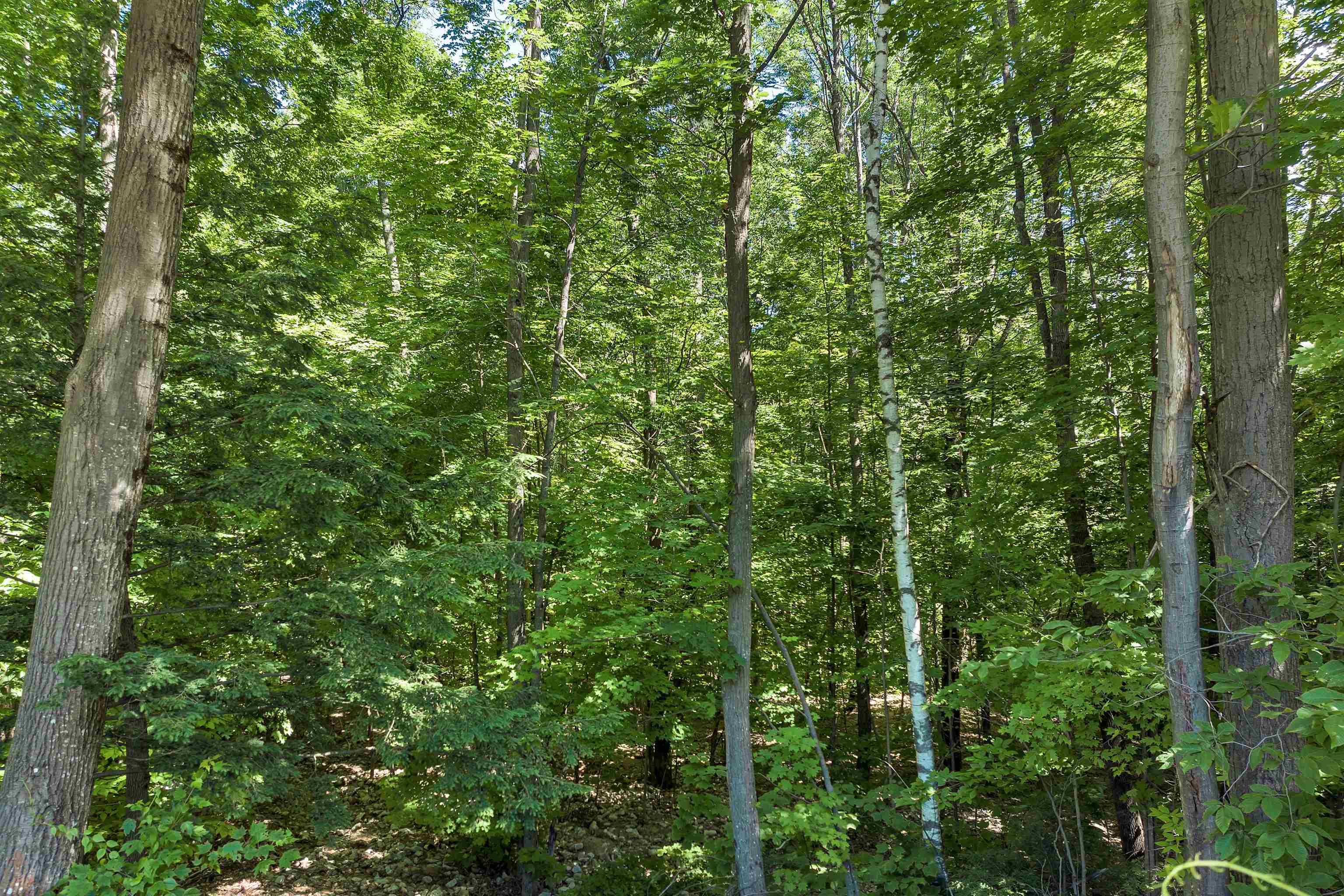 302 Us Route, Unit 1 2 Bartlett, NH 03812 - Photo 11 of 20
