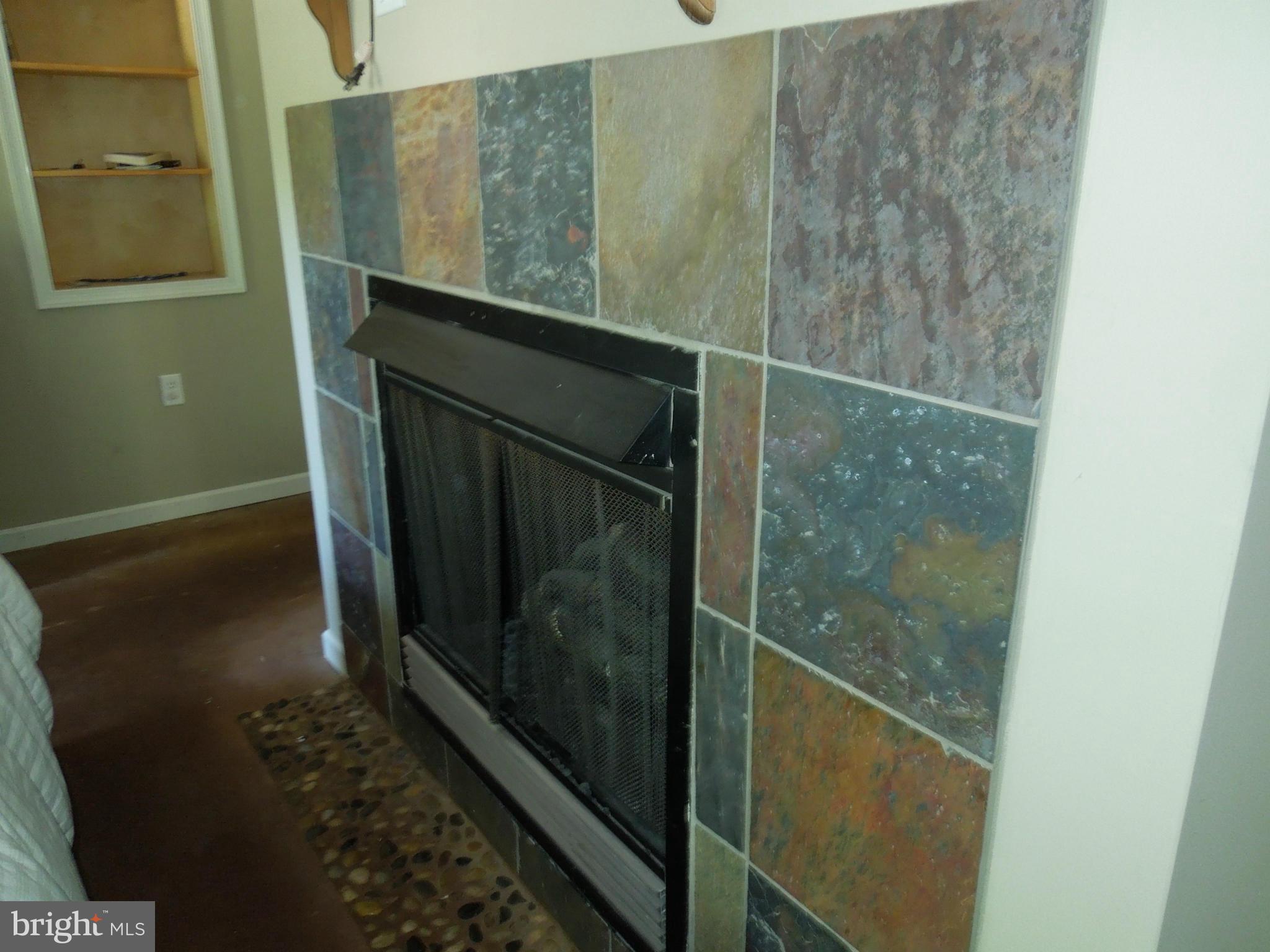14515 Strite Road Hagerstown, MD 21742 - Photo 22 of 30 Gas fireplace
