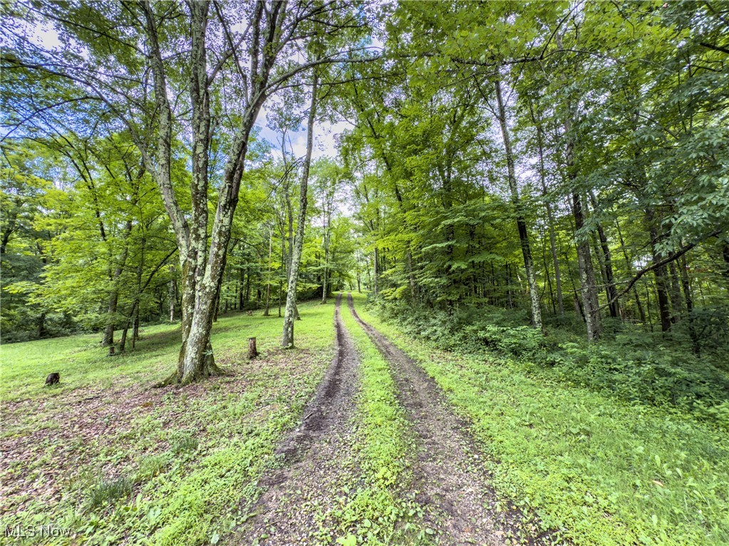 59900 Ramsey Ridge Road Jacobsburg, OH 43933 - Photo 7 of 35 View of yard featuring a wooded view
