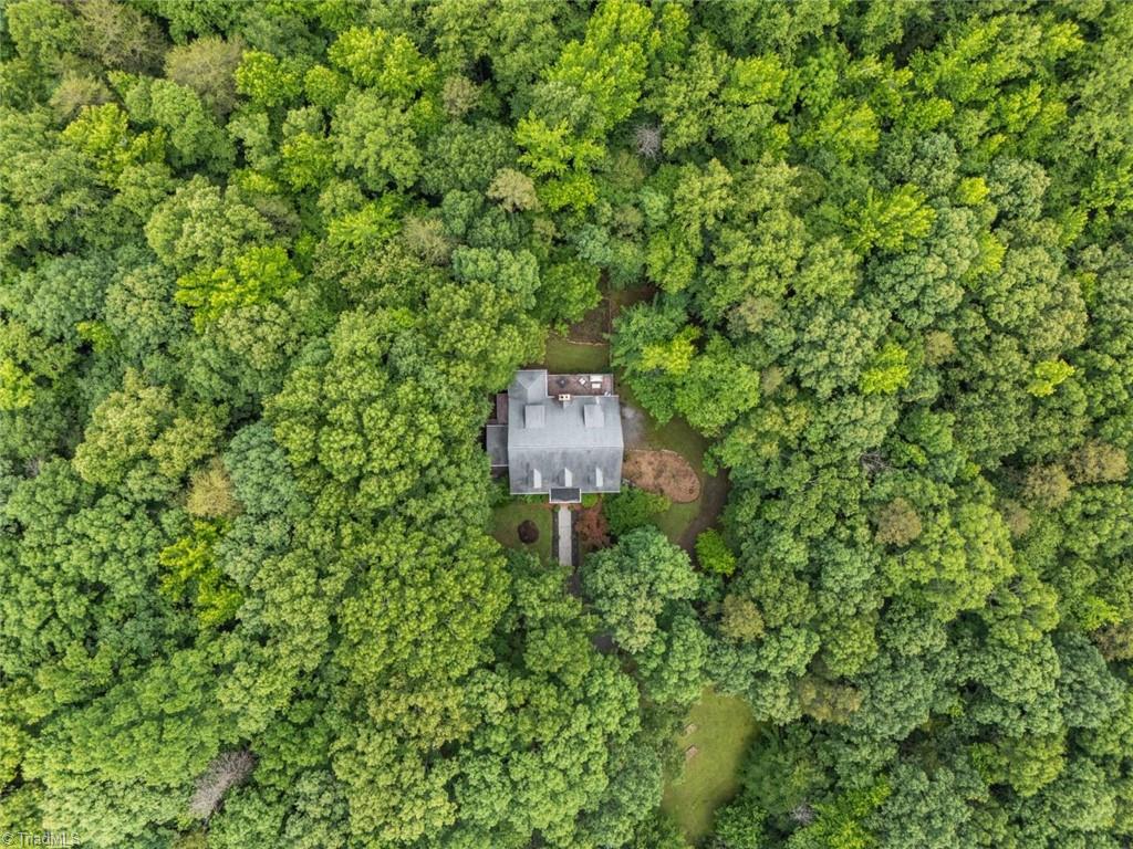 443 Rabbit Farm Trail Advance, NC 27006 - Photo 39 of 42