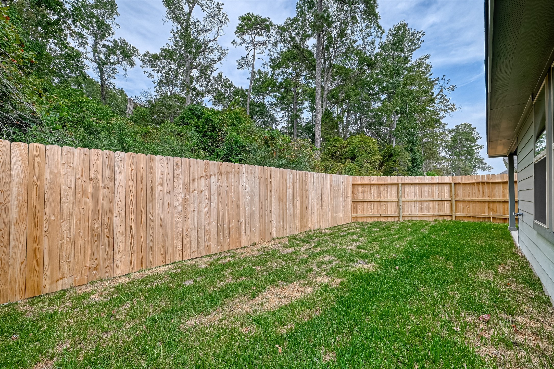 32013 Towering Birch Trail Conroe, TX 77385 - Photo 35 of 41