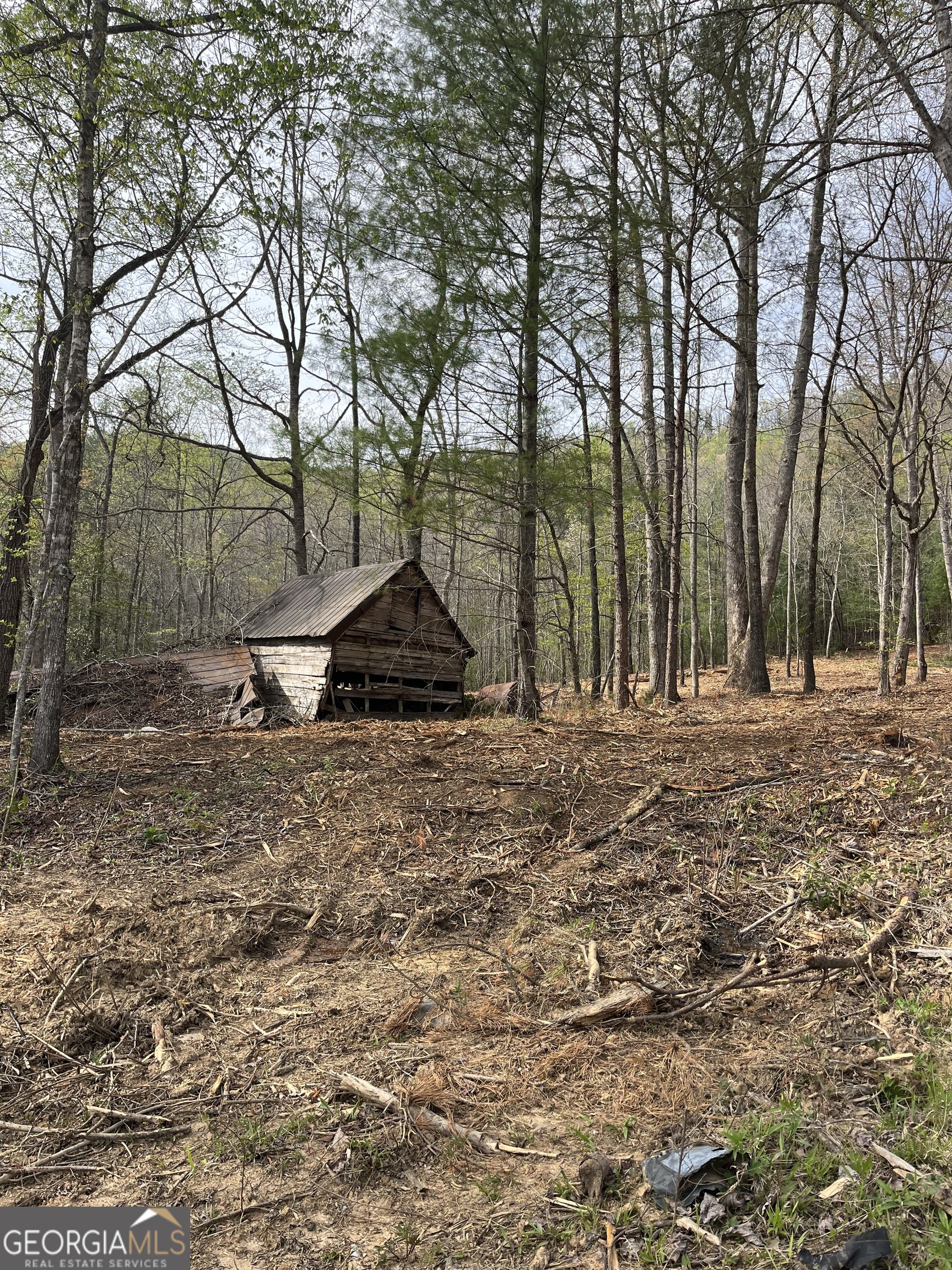0 Appomattox Tiger, GA 30576 - Photo 1 of 1 Gallery Image 1