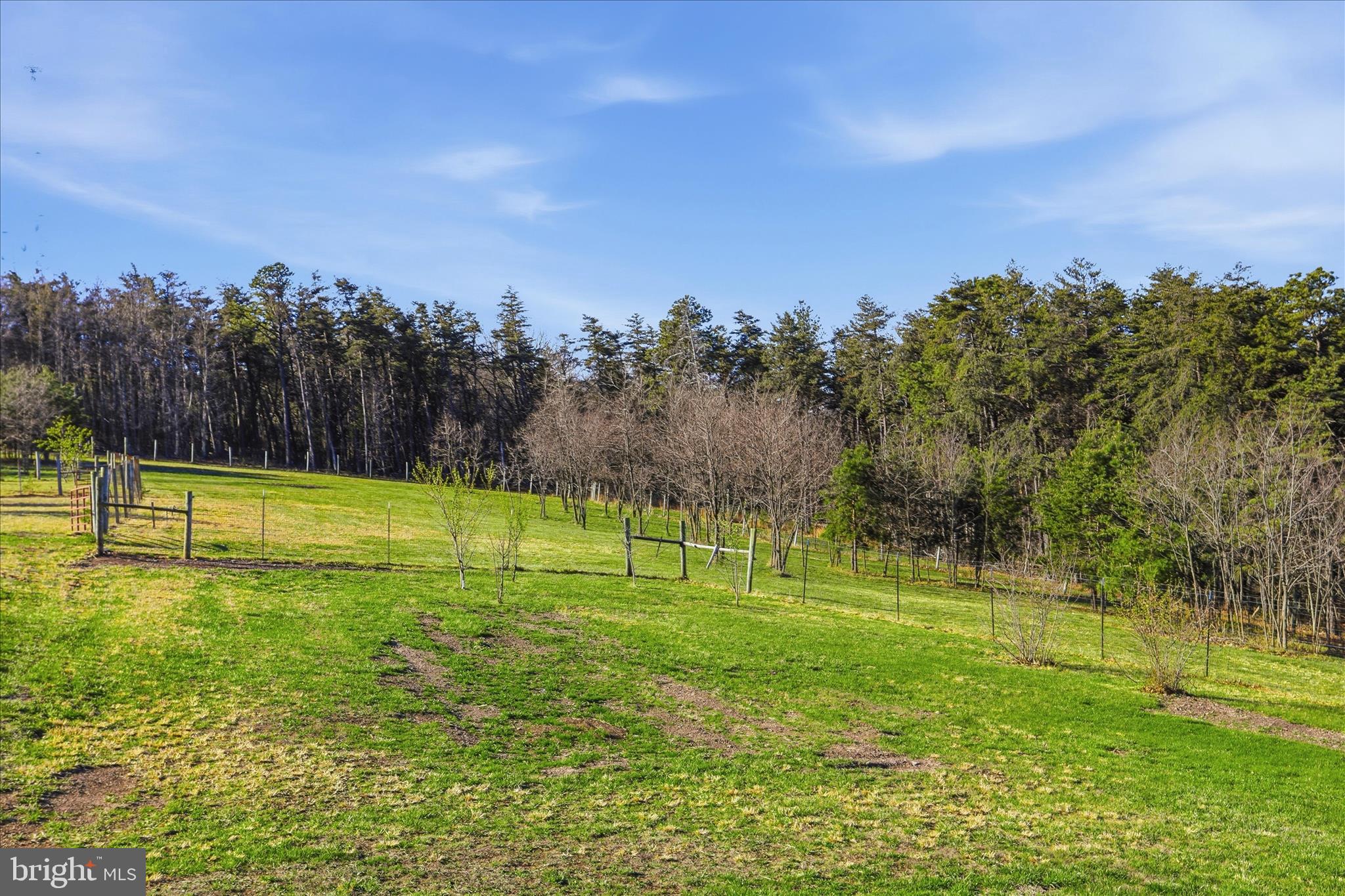 604 Locksa Road Romney, WV 26757 - Photo 41 of 48