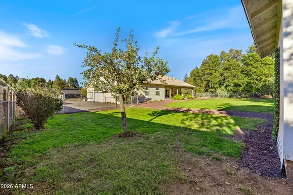 a view of a park with large trees