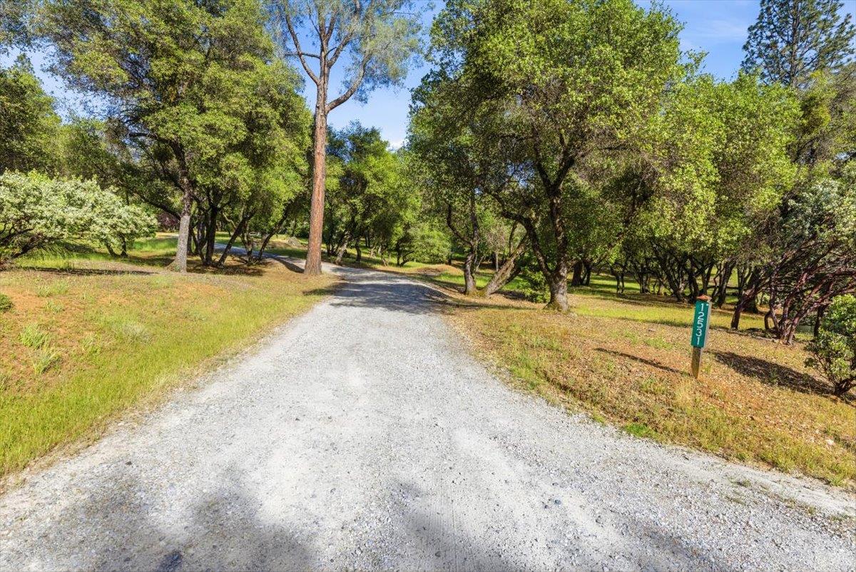 12531 Lowhills Road Nevada City, CA 95959 - Photo 84 of 92