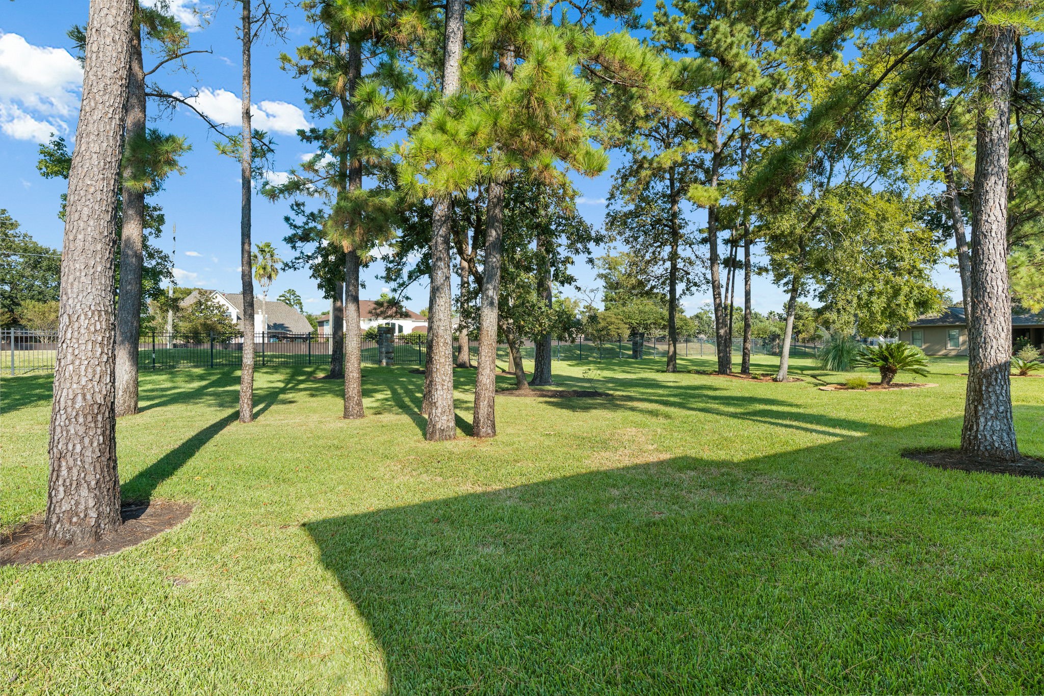 25146 Arcane Court Spring, TX 77389 - Photo 35 of 36